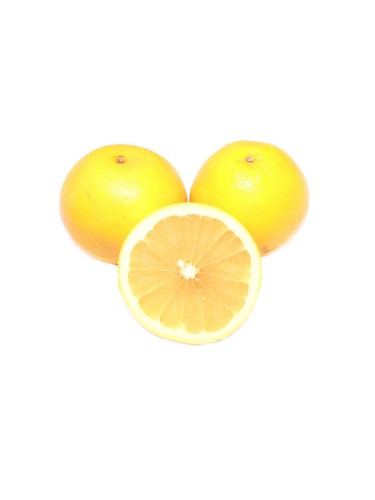 Pompelmo "Citrus Paradisi"...